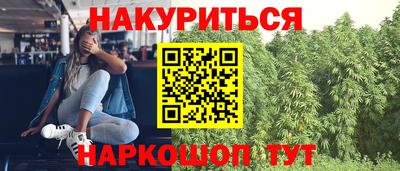 крисы Лесосибирск