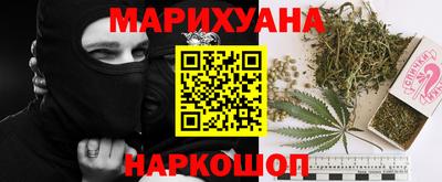 крисы Лесосибирск